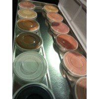 Superstar Skin Tone Palette (Superstar Skin Tone Palette)